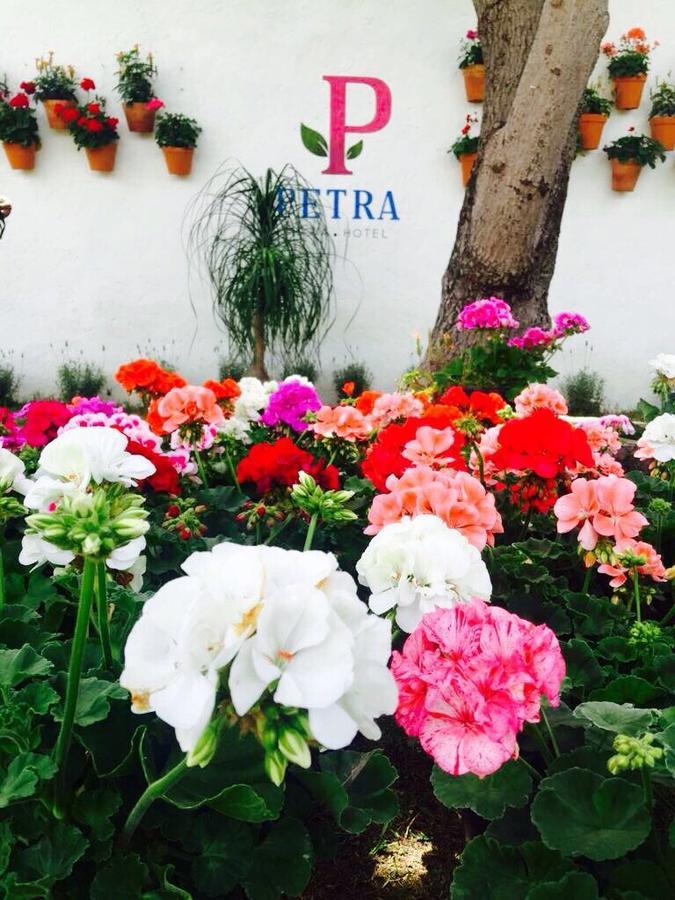 Hotel Petra San Miguel de Allende Luaran gambar